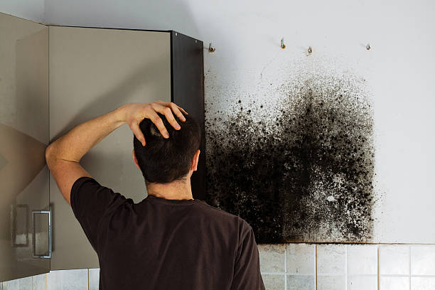 Best Office Mold Removal Services  in Mercerville, NJ